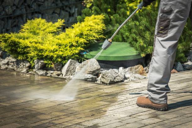 Best Roof Washing  in Yellow Springs, OH